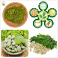 Weight Loss Natural Moringa Dried Powder Moringa